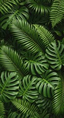 A lush, dense canopy of vibrant green tropical leaves, featuring the distinctive fenestrations of Monstera deliciosa and feathery palm fronds.