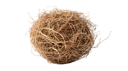 Close up of a dried loofah sponge against a black background
