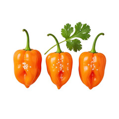 Three vibrant orange habanero chili peppers and a fresh green cilantro sprig, sprinkled with sea salt, isolated on a seamless transparent background, 45-degree overhead, clean product photography