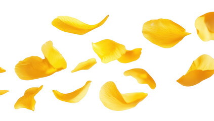 Naklejka premium A delicate scattering of yellow rose petals gracefully falling against a clean white background. evoking a sense of romance and beauty. perfect for wedding and floral-themed designs