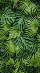 A lush, dense canopy of vibrant green tropical leaves, including monstera and fan palms, creates a rich natural texture.