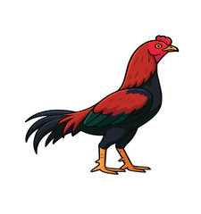 red rooster illustration