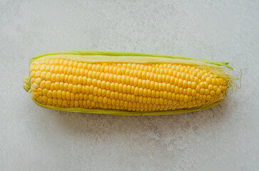 Fresh organic corn on light stone countertop