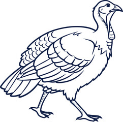 Cartoon turkey vector illustration bird drawing art animal wildlife silhouette
