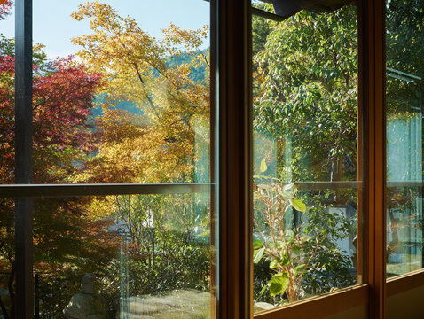 Autumn Foliage View Through Traditional Japanese House Window
