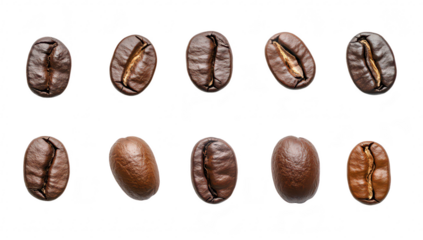 A close-up arrangement of various coffee beans their distinct shapes and colors on a clean white background. ideal for culinary or beverage-related content
