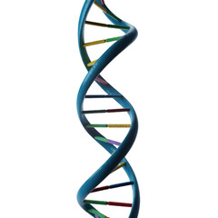 dna strand on white background 3d render