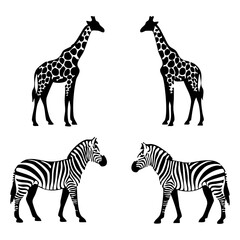 Black and white graphic illustration of elegant giraffe silhouettes with distinct spots and striped zebra outlines, presented in a minimalist vector art style, ideal for design projects
