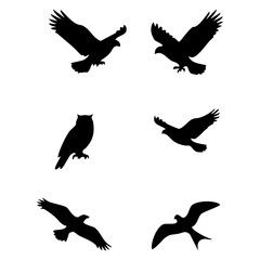 Silhouette of Birds in Flight A Diverse Collection of Avian Forms