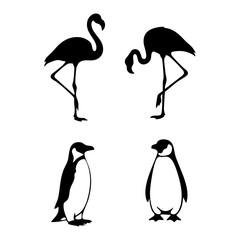 A simple collection of black silhouettes featuring elegant flamingos and charming penguins. Vector graphic set of exotic birds isolated on a white background