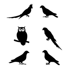 Bird Silhouette Collection Owl, Cockatoo, Pigeon, Parrot Designs