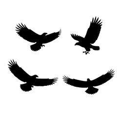 Dynamic collection of flying eagle silhouettes, capturing the grace and strength of these majestic birds of prey in various flight poses, ideal for design projects and wildlife themes