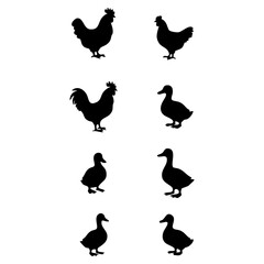 Silhouettes of Chickens and Ducks A Black and White Animal Icon Set for Design