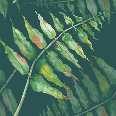 Watercolor seamless pattern with hand-drawn green fern. Botanical illustration of a forest plant on a dark green background. For decoration of forest themes, packaging, textiles, wallpaper, dishes.