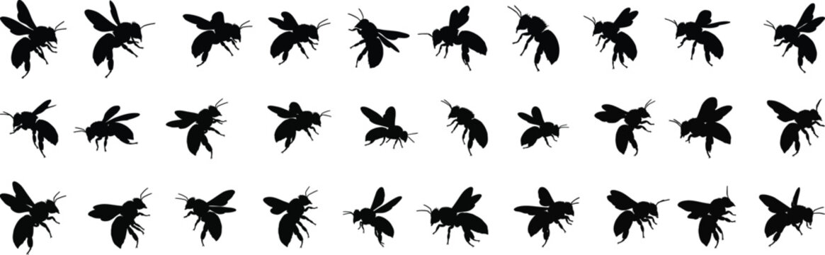 Collection of stylized bee silhouettes in various poses and angles ideal for graphic design and insect themed projects silhouette