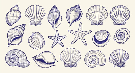 Captivating collection of hand drawn seashells and starfish in elegant blue ink on a textured cream background perfect for summer designs