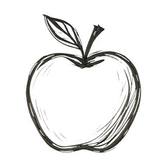 PNG Simple sketch of apple.