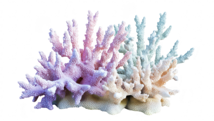 A underwater scene a variety of colorful coral formations in shades of pink. blue. and white. illustrating the beauty of marine life and ocean ecosystems