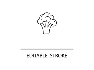 Broccoli outline icon for healthy eating and vegan lifestyle designs with editable stroke for easy customization and scalable graphics use.