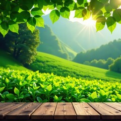 Wooden desk, vibrant tea field background, leaves border, marketing, tranquil, scene