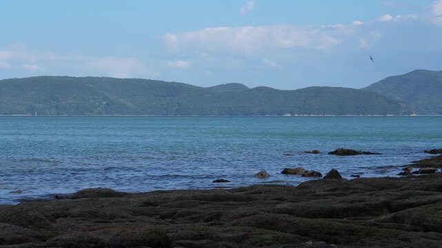 On Shodoshima's coast, the clear Seto Inland Sea and rolling green mountains complement each other, with scattered shore rocks outlining tranquil summer coastal scenery.