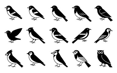 set of birds