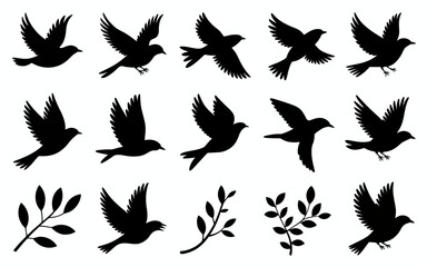 set of birds