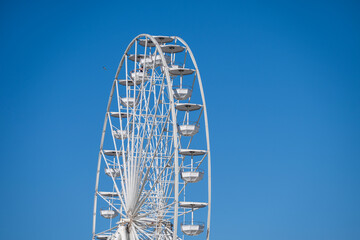 A towering white Ferris wheel with evenly spaced cabins rises against a clear blue sky as a bird soars nearby.