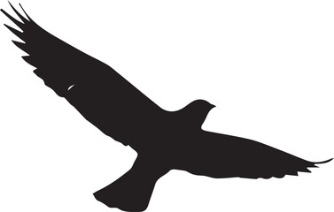 Obraz premium Silhouette of a soaring bird of prey with wings spread wide, captured in a dramatic black and white against a stark white background, evoking a sense of freedom and power