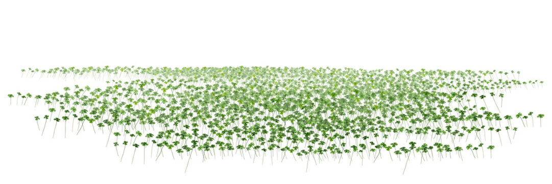 green grass vector/Fresh green clover foliage in spring meadow field, natural botanical garden growth for luck PNG.