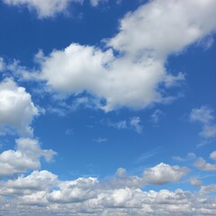Obraz premium blue sky and white cloud with tree and green leaves | Natural photos