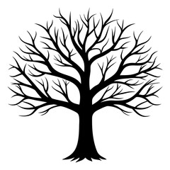 Obraz premium Black silhouette of a bare deciduous tree with intricate branches