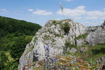 Felsenlandschaft im Eselsburger Tal bei Herbrechtingen in der Schwäbischen Alb