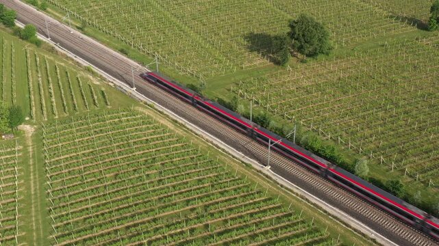 The red high-speed train zooms through vineyard plantations, captured in a breathtaking aerial perspective. Speed meets landscape.