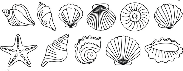 Collection of seashells and starfish outline drawings, ocean marine shells, sea snail, clam, scallop, spiral shell, beach elements