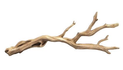 Fototapeta premium A beautifully textured piece of driftwood lies on a clean. white background. its natural curves and knots. ideal for artistic displays. home decor. or nature-themed projects