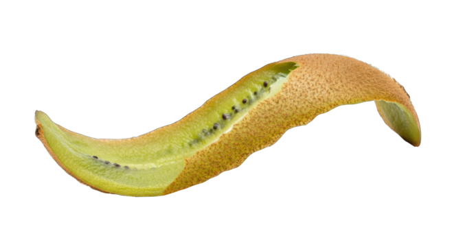 Curving Kiwi Peel Showing Green Flesh and Seeds.