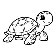 turtle illustration