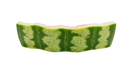 Watermelon Rind Piece with Dark Green Stripes and Light Green Base.