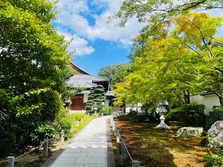 street in the Japanese temple