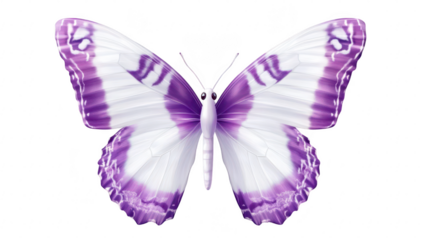 A beautifully detailed illustration of a purple and white butterfly with intricate wing patterns. set against a subtle checkered background. ideal for nature-themed projects or educational materials