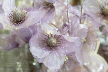 blurred Christmas sparkling floral background. wedding design with light purple flowers in vintage style