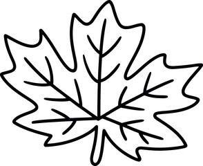 Maple leaf outline simple vector autumn nature icon vector Hand drawn