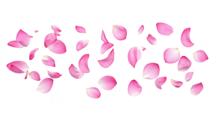 Delicate pink rose petals scattered artistically on a white background. creating a serene and romantic atmosphere. ideal for wedding decor or floral arrangements