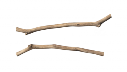 Two natural wooden branches of varying lengths placed on a clean white background. their texture and color. ideal for use in design projects or nature-themed artwork