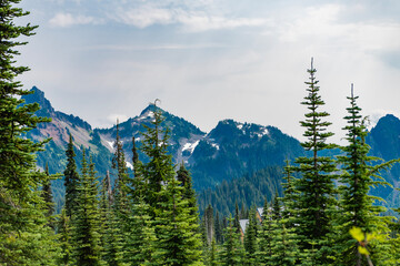 Hill landscape with forest. Nature mountain forest. Green forest wood landscape in mountain. Nature of mixed forest. Landscape of scenery nature. Scenic landscape woodland. Lush green hills