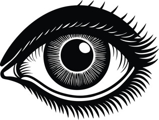 Detailed anatomical illustration of the human eye with close up view