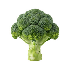 Fresh Broccoli Florets with Thick Stem Isolated on Black Background vegetable food