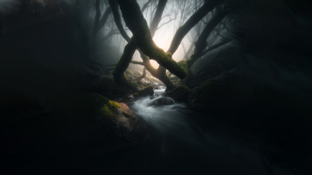 Mystical forest landscape with fog, twisted trees, and a glowing light over a flowing stream, fantasy nature atmosphere. - Powered by Adobe