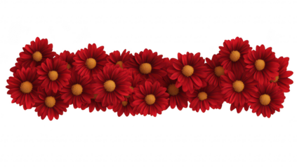A arrangement of red daisies with golden centers. artistically displayed against a clean white background. ideal for seasonal decorations or floral-themed projects